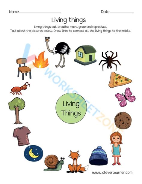Living and Non Living Things Worksheet for Kids .